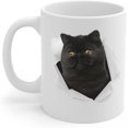 Funny Black Exotic Shorthair Cat Mom And Dad Gifts With Cat Looks