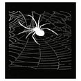 thumbnail image 1 of Funny Black Widow Spider Web Poster - Wall Decor Gift, 1 of 1