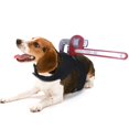 thumbnail image 1 of Funny Bloodstains Costume for Dogs Pet Halloween Holiday Accessories Photo Props Suitable Cats and Dogs, 1 of 8