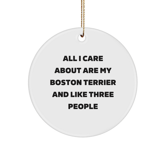 Funny Boston Terrier Dog Gifts from Friends for Christmas Circle Ornament, 'All I Care About Are My Boston Terrier And Like Three People'