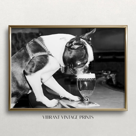 Funny Boston Terrier Drinking Beer - Vintage Bar Art UNFRAMED PAPER POSTER, Home Decor