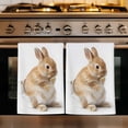 thumbnail image 1 of Funny Bunny Kitchen Towels Set of 2, Cute Art Fun Lovely Animals on Toilets Absorbent Dish Towels for Kitchen, Microfiber Hand Towel, Quick Drying Tea Towel for Cleaning Decorative Dishcloths, 1 of 7