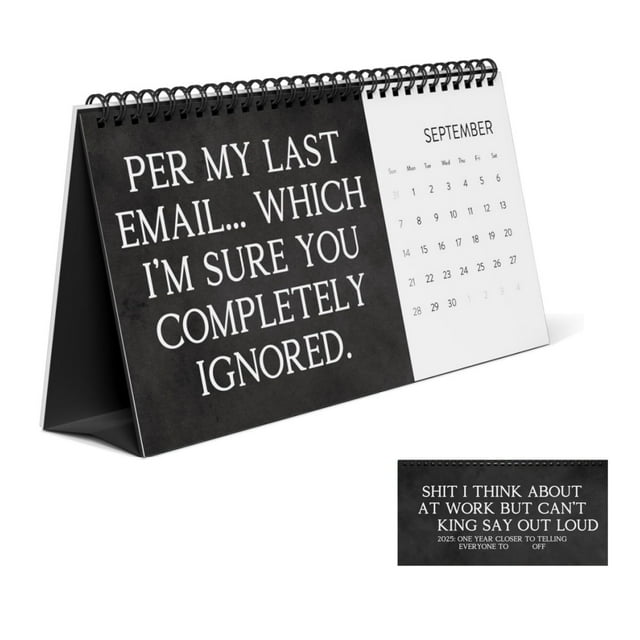 Funny Calendars for Adults 2025, Funny 2025 Desk Calendar, 2025 Desktop Calendar, Office Work