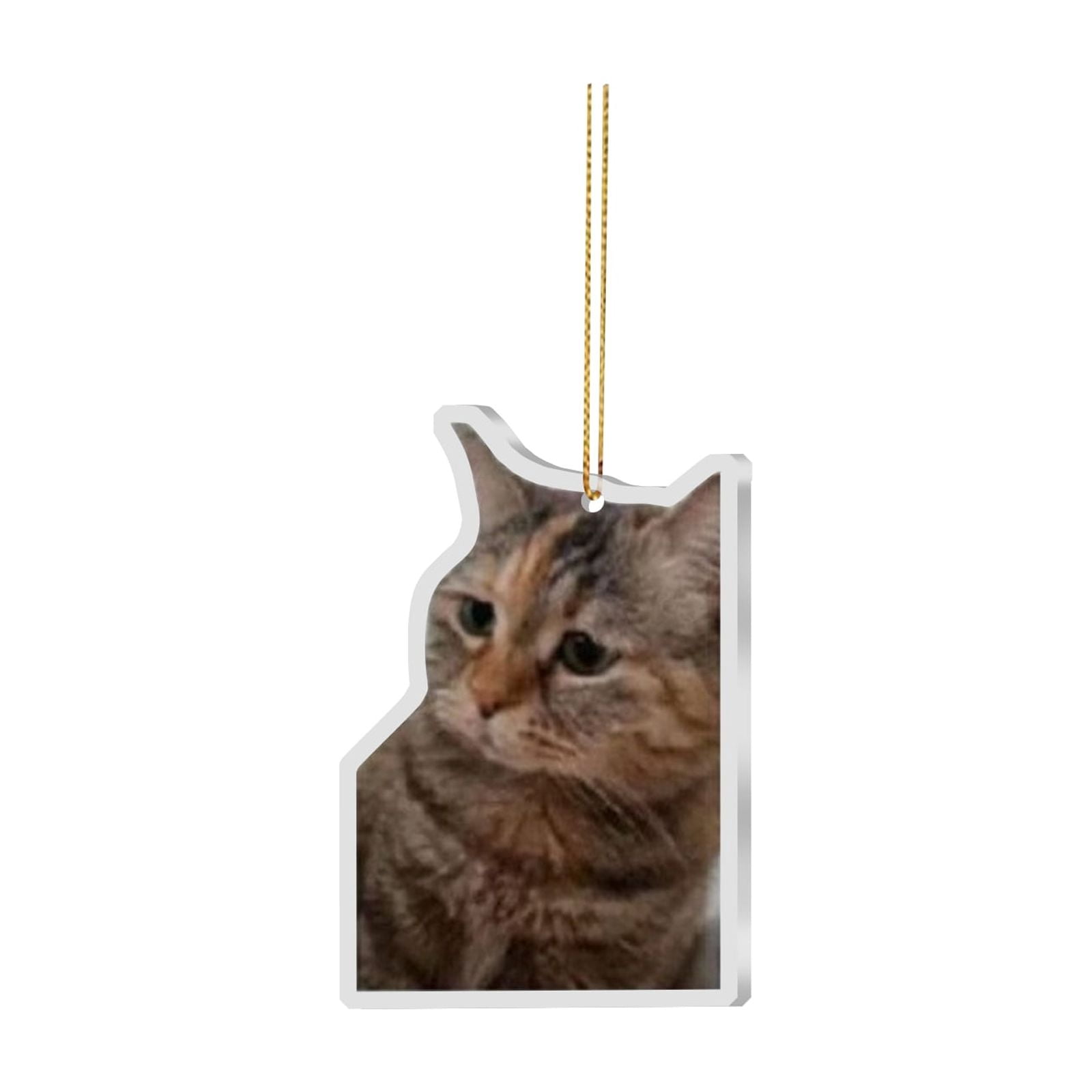Funny Car Air Freshener for Women Girls Men Cute Freshener Ornaments — free download