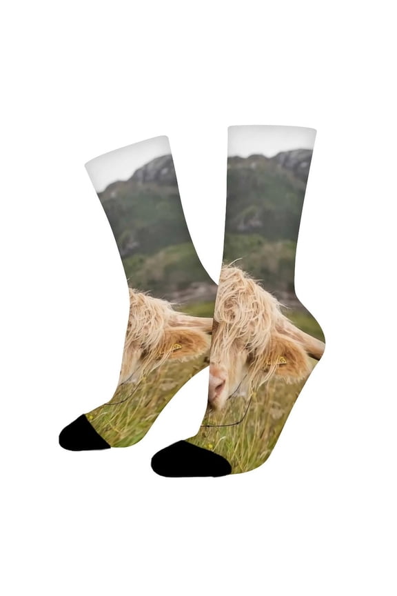 Funny Casual Cotton Socks for Men Women,Best Scottish Highland Cow ideas Unisex Novelty Printed Crew Hiking Socks