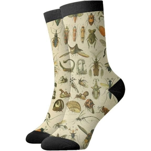 Funny Casual Sport Short Sock Insect Species Cartoon Novelty Graphic Socks for Men Women Gift