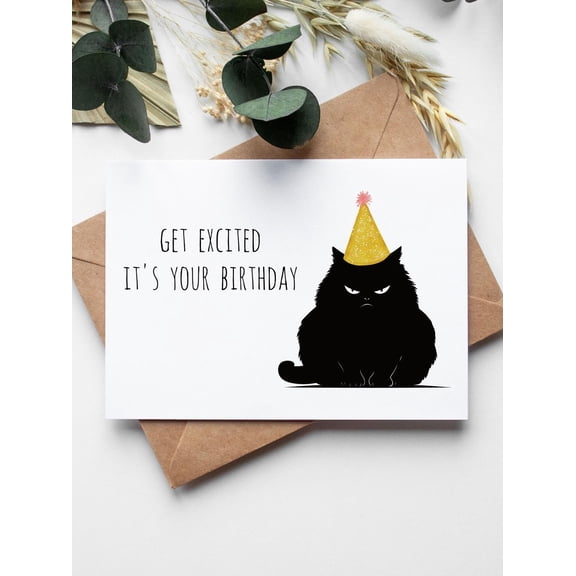 Funny Cat Birthday Card  "Get Excited It's Your Birthday"  Grumpy Cat Design  Blank Inside with Envelope Included  Perfect for Cat Lovers and Birthday Celebrations