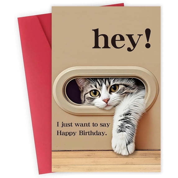 45 birthday wishes for cat | happy birthday cat funny,... Funny Cat Birthday Card – "Hey! I Just Want to Say Happy Birthday ...