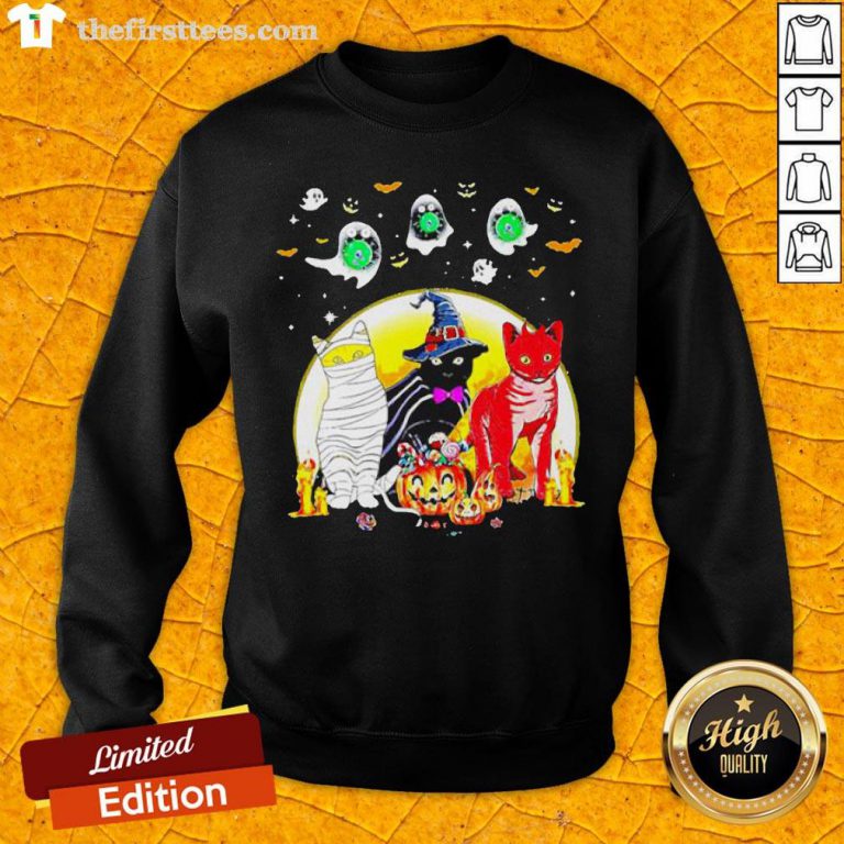 Funny Cat Costume Happy Halloween SweatSweaSweatSweatshirt