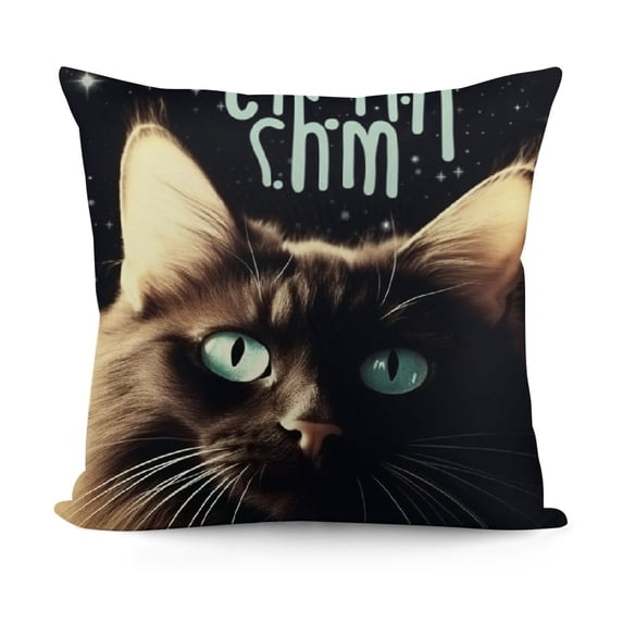 Funny Cat Gifts, Black Cat Mom Gifts, Funny Quote It’s Not Cat Hair It’s Kitty Glitter Throw Pillow Cover, Cat Gifts for , Cat Gifts for Women,