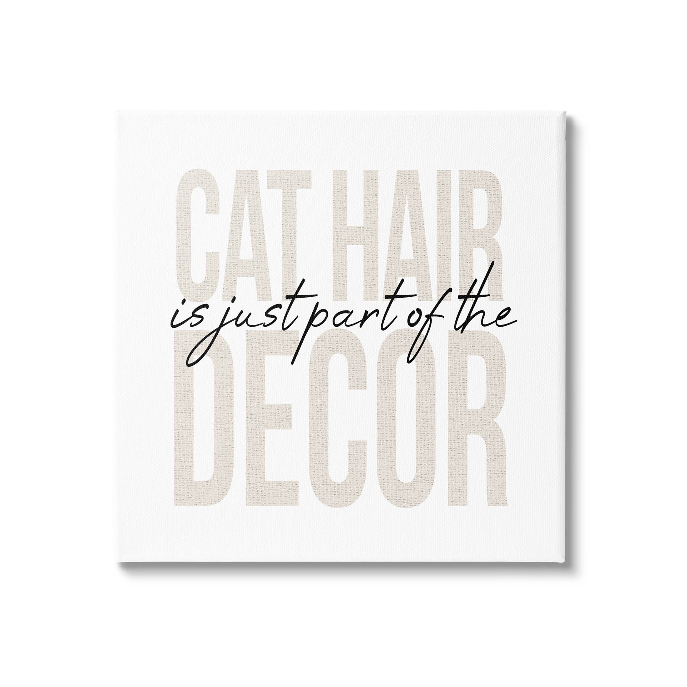 Funny Cat Hair Pet Phrase Typography Graphic Art Gallery Wrapped Canvas Print Wall Art