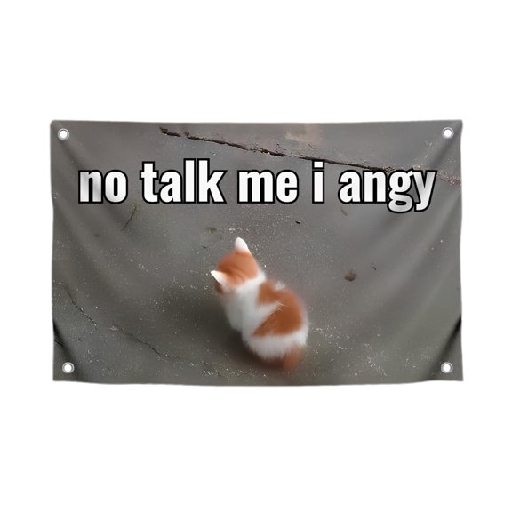 Funny Cat Meme Flag 'No Talk Me I Angy' 3x5 Feet Polyester Outdoor Indoor Wall Decor