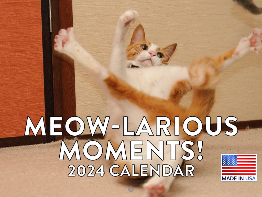 Funny Cat Meowlarious Calander 2024 Wall Calendar Funny Cat 2024