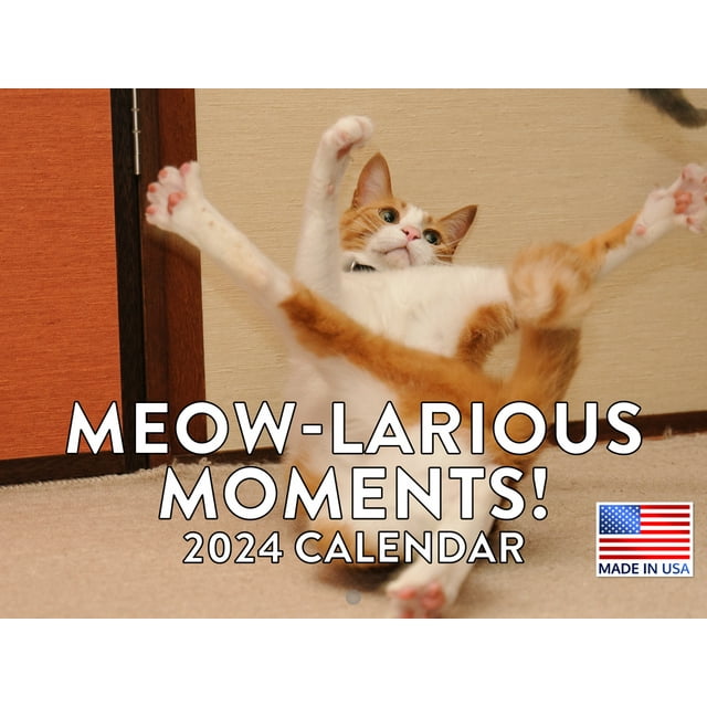 Funny Cat Meowlarious Calander 2024 Wall Calendar Funny Cat 2024