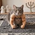 thumbnail image 1 of Funny Cat Muscle Arms ,3D Printed Pet Cosplay Prop,Adjustable Neck Hanging Pet Shoulder Outfit,Novelty Kitten Photo Accessory,Halloween Small Pet Party Decor, 1 of 3