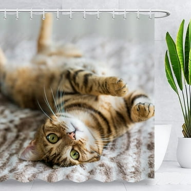 Funny Cat Shower Curtain, Cute Yellow Stripes Cat lying down Lovely Kitten Bath Shower Curtains Waterproof Fabric Washable Bathrrom Curtains 50"x72"