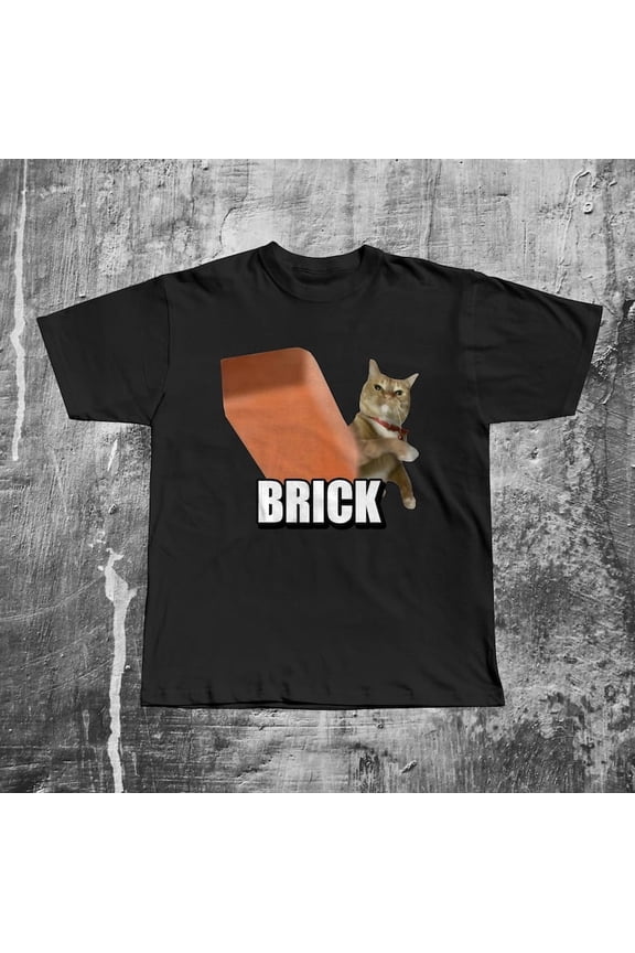 Funny Cat Throwing Brick T-shirt, Meme Shirt, Silly Cats Tee, Unhinged Clothes, Brainrot Shirts, Cat Lover Gifts, Stupid Gifts, Weird Tshirt