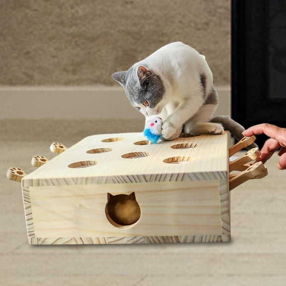 Funny Cat Toys Whack Pet Supplies Catching Mice Game Maze Box with Mice Shape