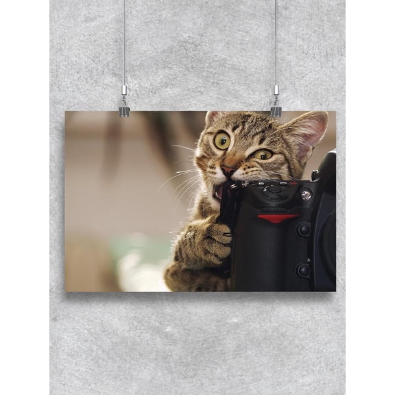 Funny Cat With A Camera. Poster -Image by Shutterstock