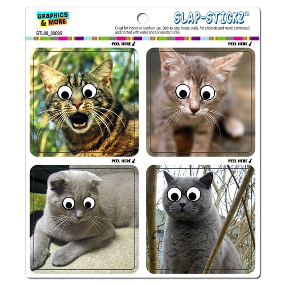 Funny Cats Googly Eye Pictures Kitten SLAP-STICKZ(TM) Premium Sticker