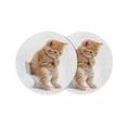 thumbnail image 1 of Funny Cats Round 13 Inch Placemats Set of 2, Cute Art Fun Lovely Animals on Toilets HeatResistant Non Slip Place Mats for Dining Table, Wipeable Braided Kitchen Table Mats for Housewarming, 1 of 9