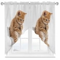 thumbnail image 1 of Funny Cats Swag Curtains Cute Art Fun Lovely Animals on Toilets Swag Valances for Kitchen Windows, Window Treatment Topper Curtains for Living Room Bedroom Bathroom, 36" W x 45" L, 1 of 9