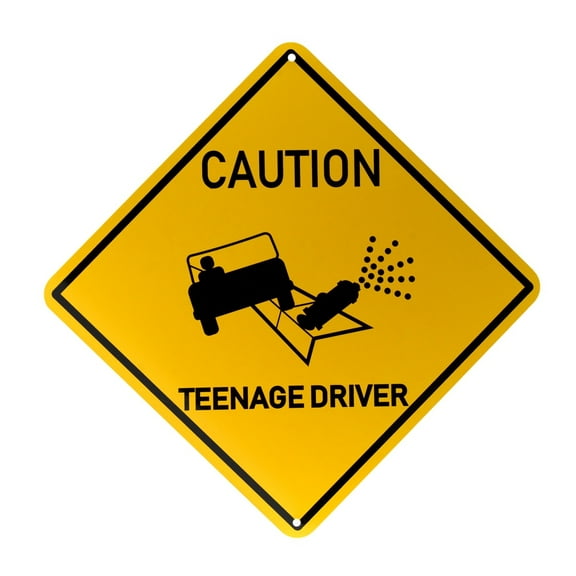 Funny Caution Teenage Driver Metal Sign Car Novelty Door Decor Prank Joke Gag Gift