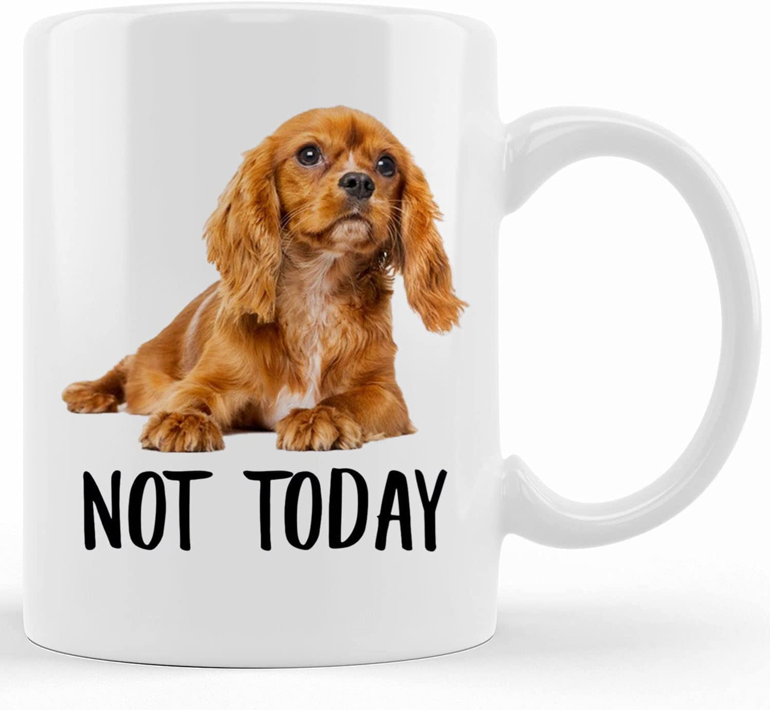 Funny Cavalier King Charles Spaniel Red Not Today Dog Mug Lazy Gift For Women Dogs Mom Coffee Mug 11oz Mother s Day Gifts For Mom From Son Kids