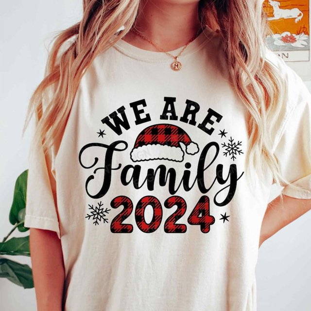 Funny Christmas Family Shirt , We are Family, Christmas 2024 , Xmas