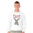 thumbnail image 1 of Funny Christmas Hipster Reindeer Lit Unisex Plus Fleece Graphic Sweatshirt Brisco Brands 4X, 1 of 5