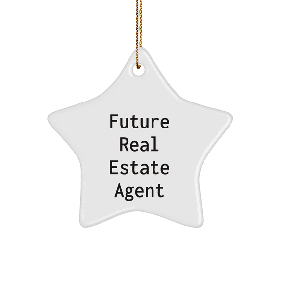 Funny Christmas Unique Gift from Men to Real Estate Agent, Star Ornament with Real Estate Agent Quote, Best Real Estate Agent Agent Star Ornament for Men or Women