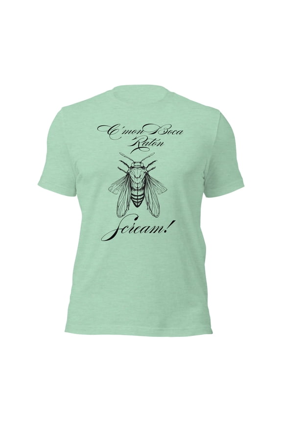 Funny Cicada Invasion Boca Raton, Funny Florida Shirts (Heather Prism Mint, 2XL)