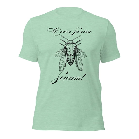 Funny Cicada Invasion Sunrise, Funny Florida Shirts (Heather Prism Mint, S)