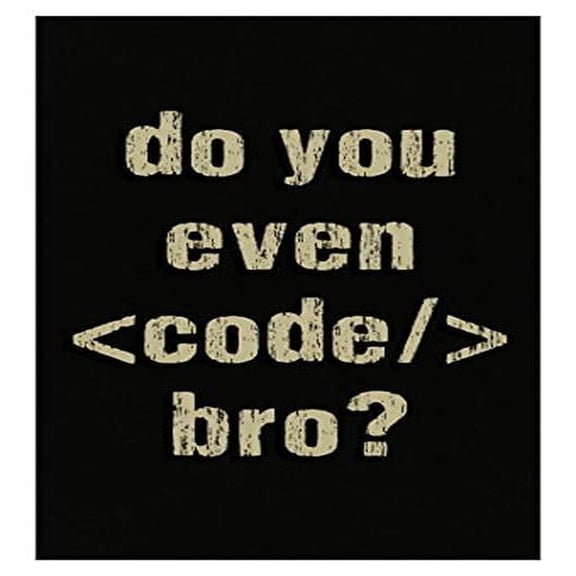Funny Coding Poster - 13x19 - Wall Art for Tech Lovers Gift