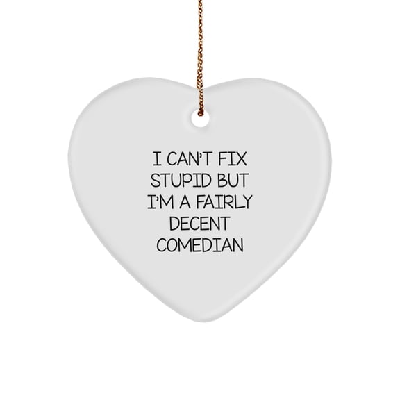 Funny Comedian Gifts from Friends and Family - I Can't Fix Stupid Heart Ornament for Comedian Men and Women