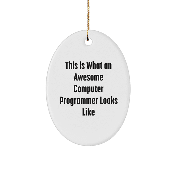 Funny Computer Programmer Gifts, This Is What An Awesome Computer Programmer Looks Like Oval Ornament, Christmas Unique Gifts from Friends to Computer Programmer, Gifts for Computer Programmer