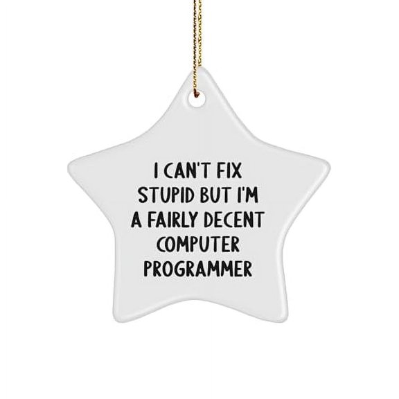 Funny Computer Programmer Star Ornament Gifts from Friends and Family for Christmas - I Can't Fix Stupid But I'm A Fairly Decent Computer Programmer