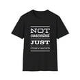 thumbnail image 1 of Funny Convinced Sarcasm Positive Attitude Novelty Tees, 1 of 4