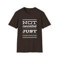 thumbnail image 1 of Funny Convinced Sarcasm Positive Attitude Novelty Tees, 1 of 4