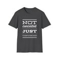 thumbnail image 1 of Funny Convinced Sarcasm Positive Attitude Novelty Tees, 1 of 4