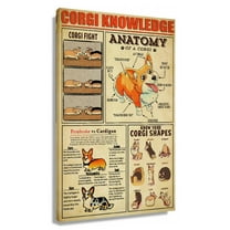 Funny Corgi Dog Wall Art Knowledge Poster Educational Wall Art Infographic Poster Canvas For Living Room Framed 20x30 in