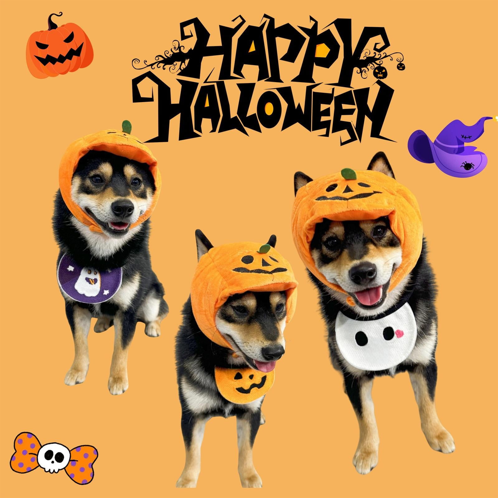 Funny Costumes Pets for Cats, Dogs, Kittens, Puppies, Rabbits, Perfect ...