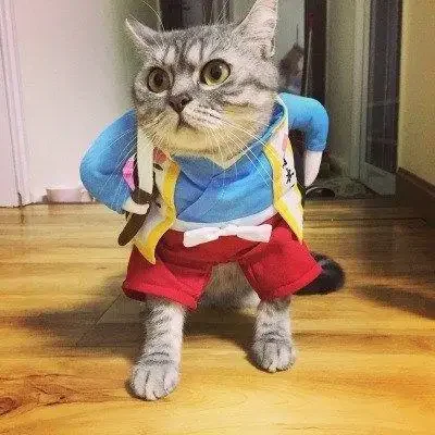 Funny Costumes Pets Cute Cat Costumes Funny Cats and Dogs Costumes Stand Up Halloween Cosplay Cat Clothes Supplies (F,S)