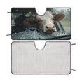 thumbnail image 1 of Funny Cow Car Windshield Sun Shade Fold-able Sunshade Front Window Cover Sun Visor Protector Accessories for Truck SUV 55"x30", 1 of 7