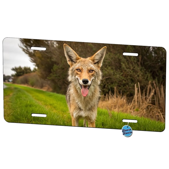 Funny Coyote With Tongue Out Metal Novelty License Plate