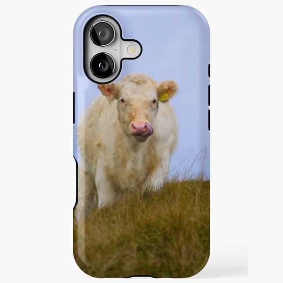 Funny Cute Animal Art Art Phone Cover for iPhone 11 12 13 14 15 16 17 Pro Max