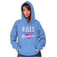 thumbnail image 1 of Funny Cute Grandma Grandmother Gigi Women Plus Size Graphic Pullover Hoodie Brisco Brands 2X, 1 of 4