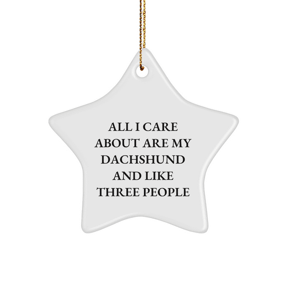 Funny Dachshund Dog Star Ornament, Gifts from Family for Christmas, All I Care About Are My Dachshund And Like Three People