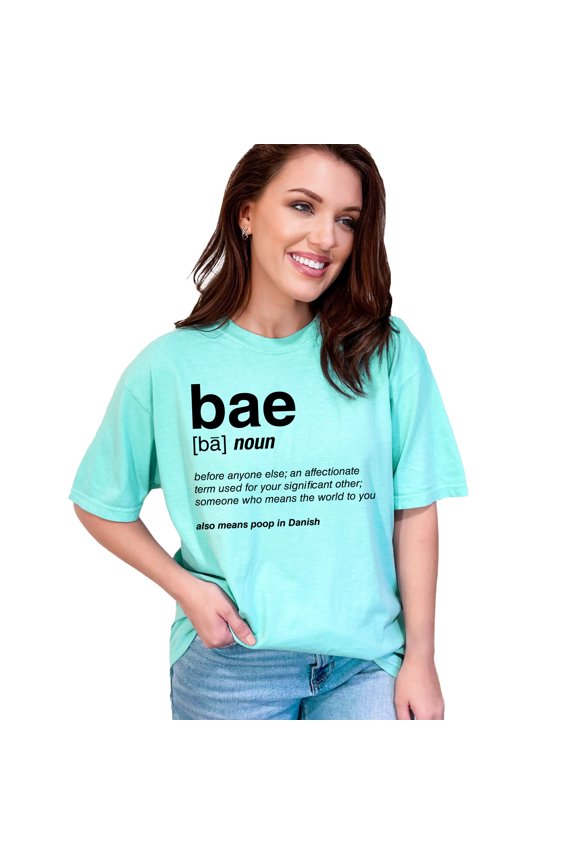 Funny Definition of Bae in Danish, Chalky Mint Comfort Colors T-Shirt, Large