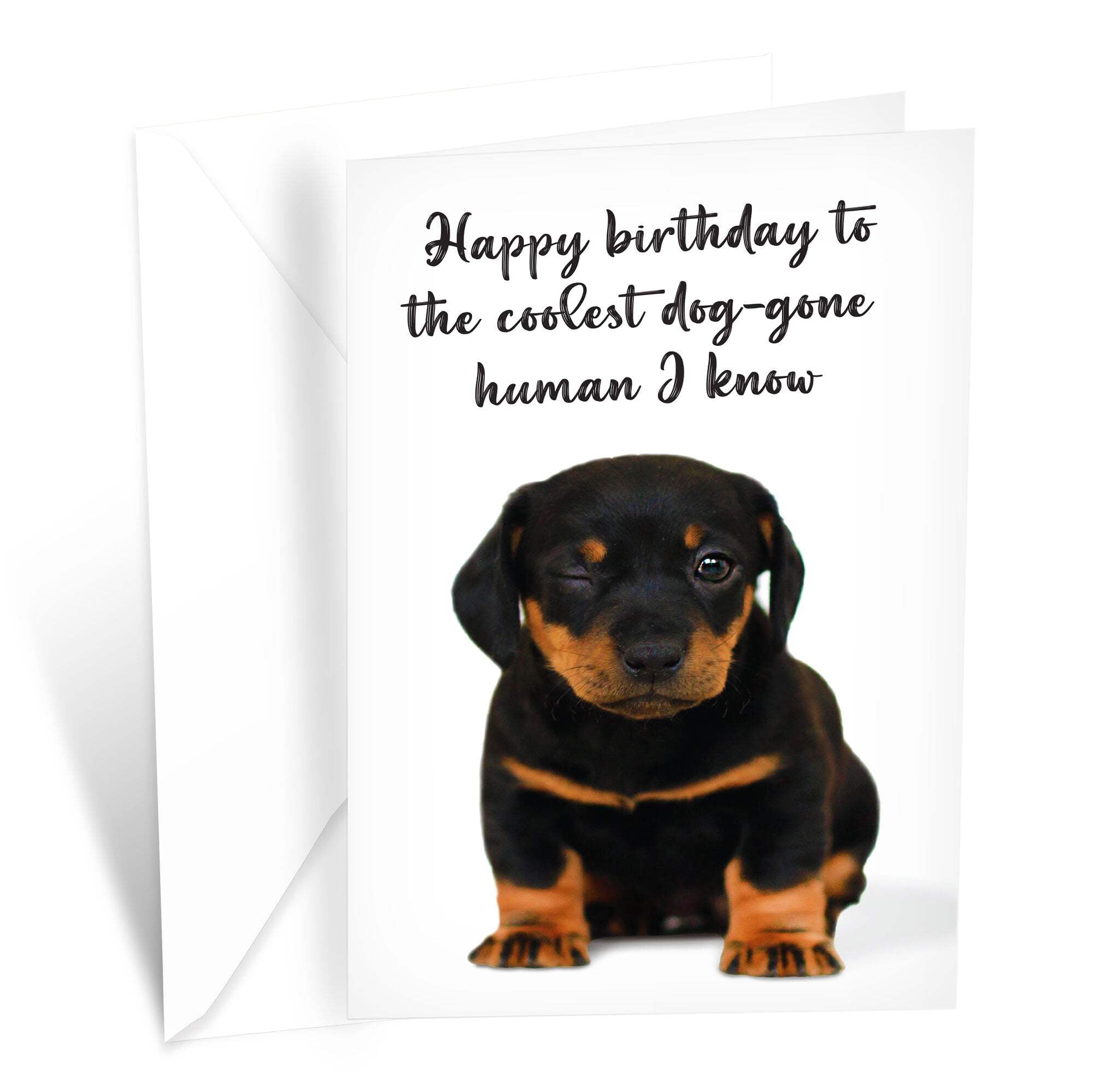 Prime Greetings Funny Dog Birthday Card Pun With Rottweiler